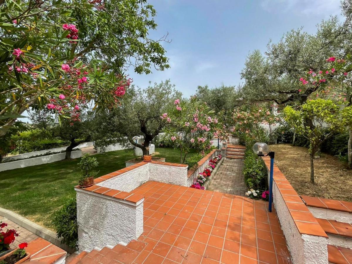 Il Giardino Degli Ulivi Villa Citta Sant'Angelo Exterior photo
