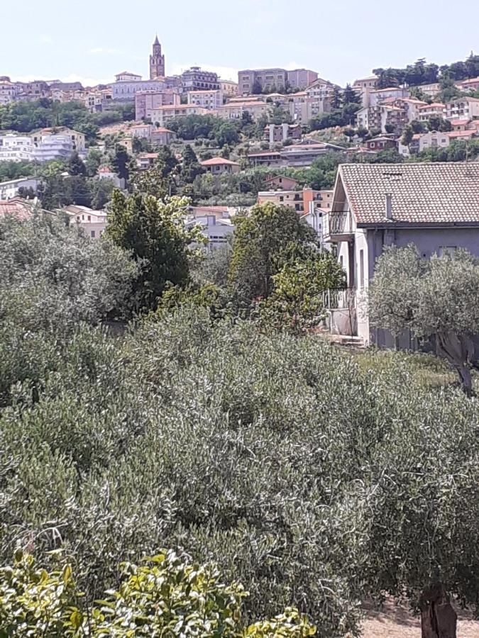 Il Giardino Degli Ulivi Villa Citta Sant'Angelo Exterior photo